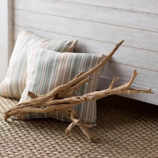 driftwood