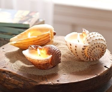 DIY candle made from seashells